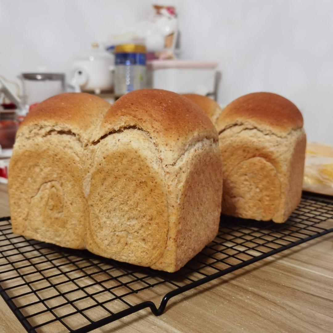 65%全麦吐司 王后粗麸/粗粒全麦粉 无奶低糖低油也可以很松软的粗粒全麦吐司