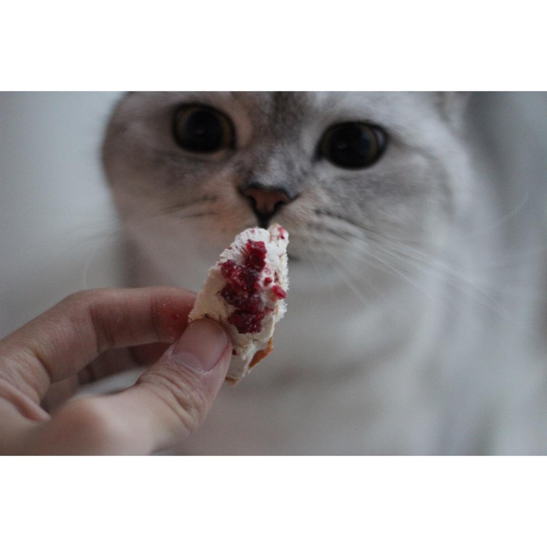 面包店里的常客——蔓越莓奶酪软欧