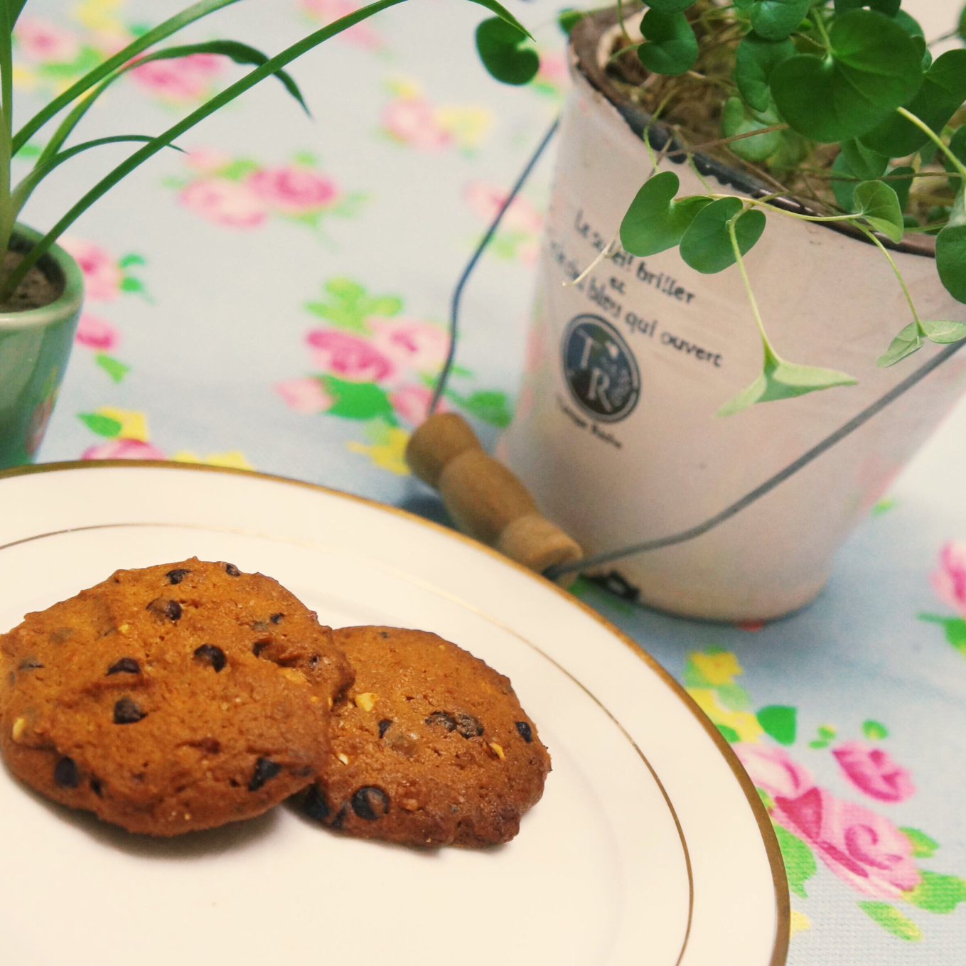 巧克力奇普饼干