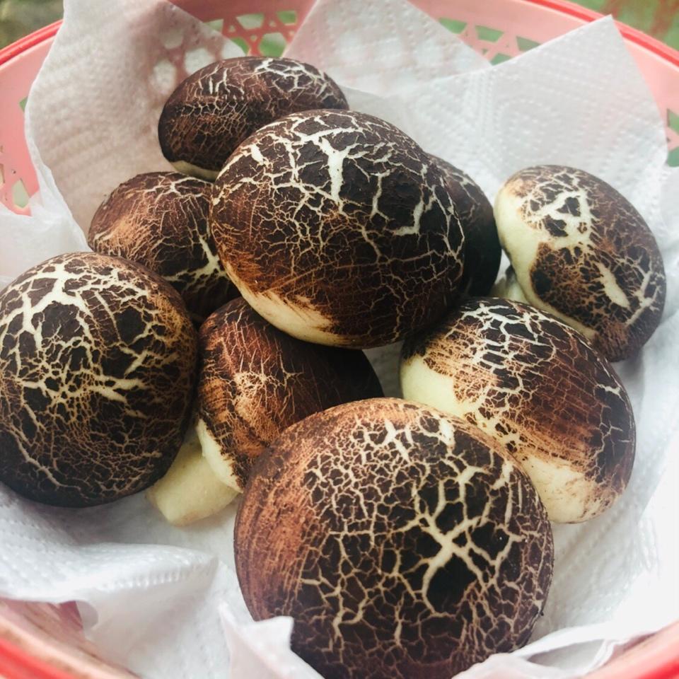 呵呵银子做的象形蘑菇包