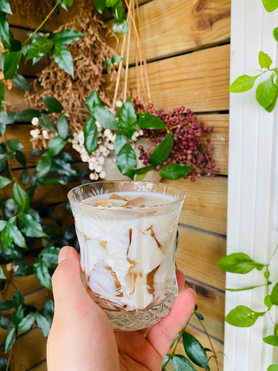 比奶茶好喝百倍❗️自制低卡柠檬红茶冻撞奶
