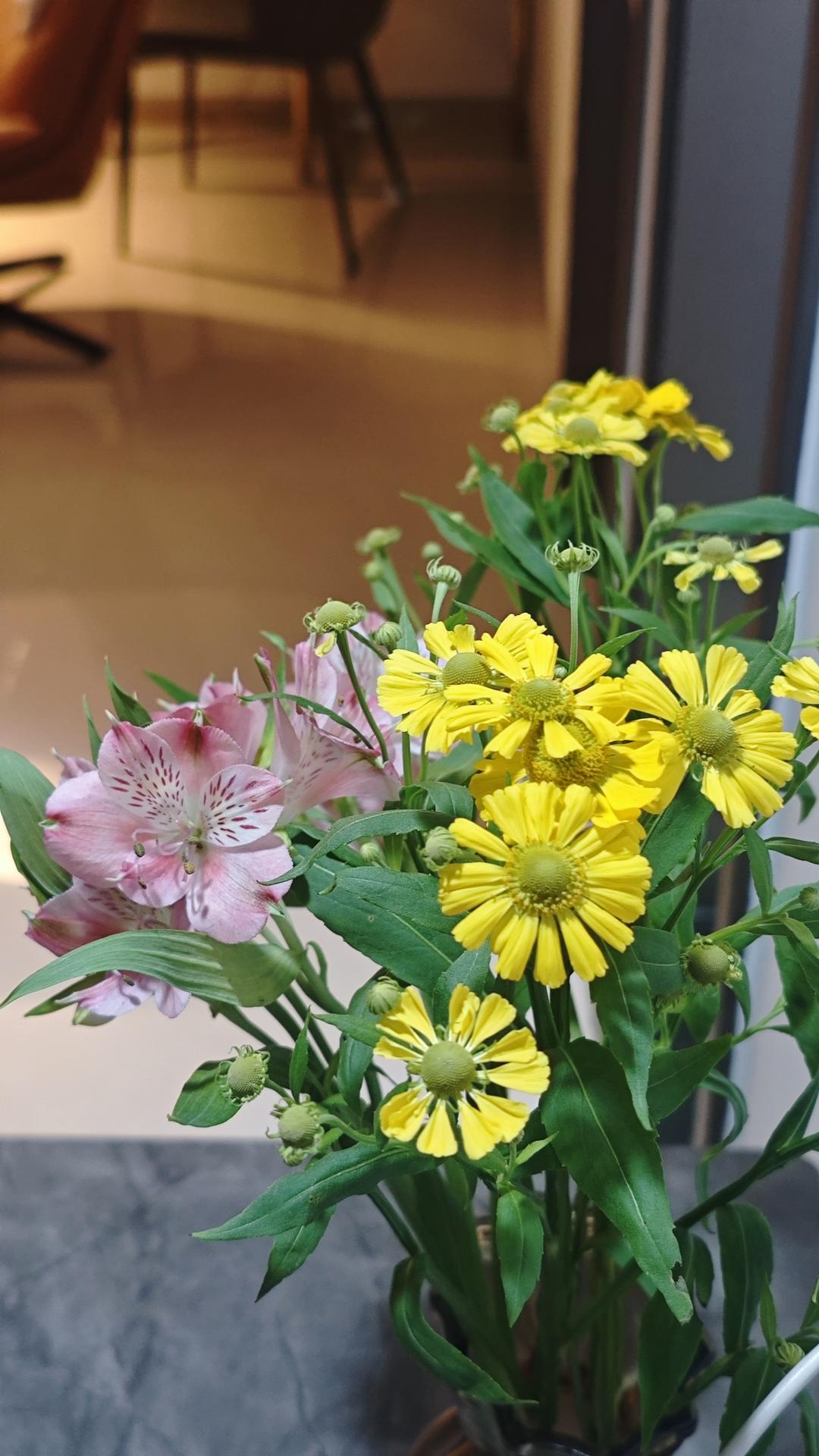 花花世界