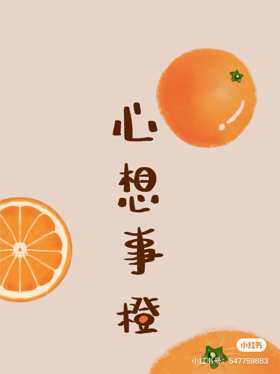 玩具熊hl的厨房