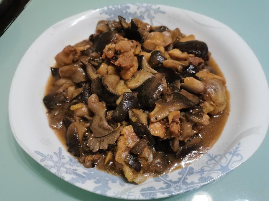 蘑菇炖鸡肉