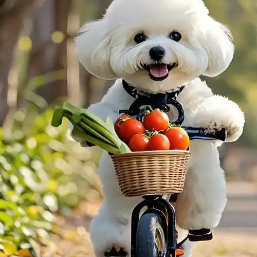 宇多小爱宇的小孩在哪情宇認宇芽多宇芽你nmnnNAYU