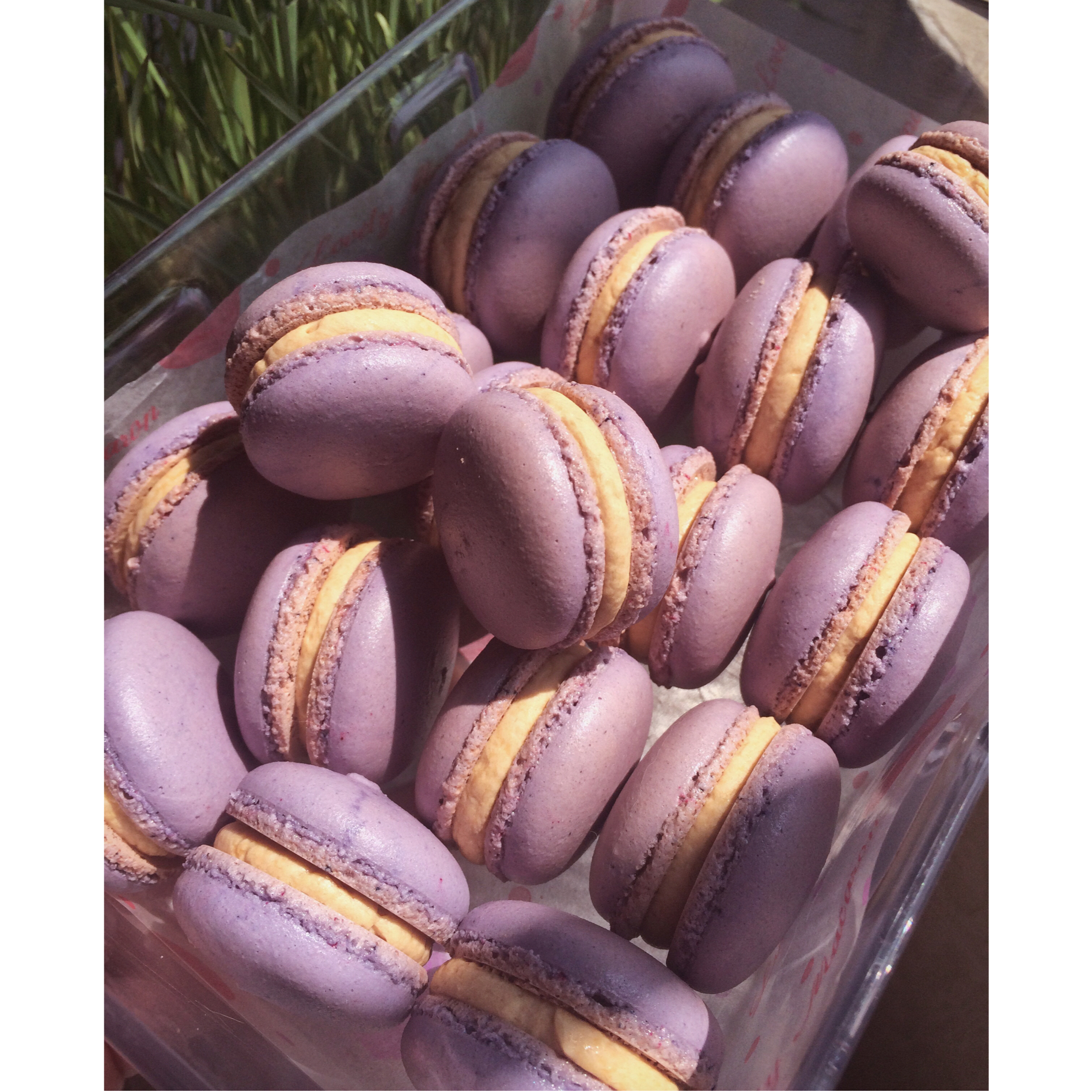 三个橙子意式马卡龙教程