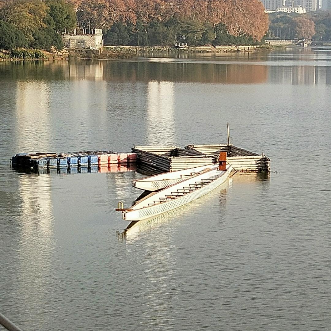 行走的陈的厨房