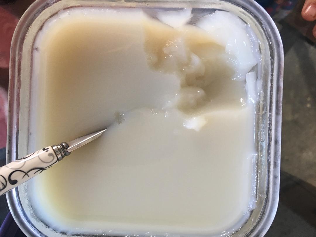 简易咸豆花（豆浆布丁）