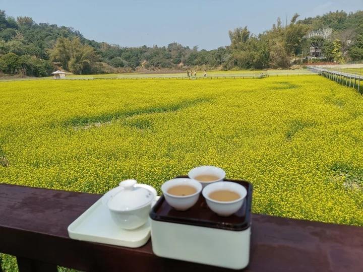 潮州功夫茶