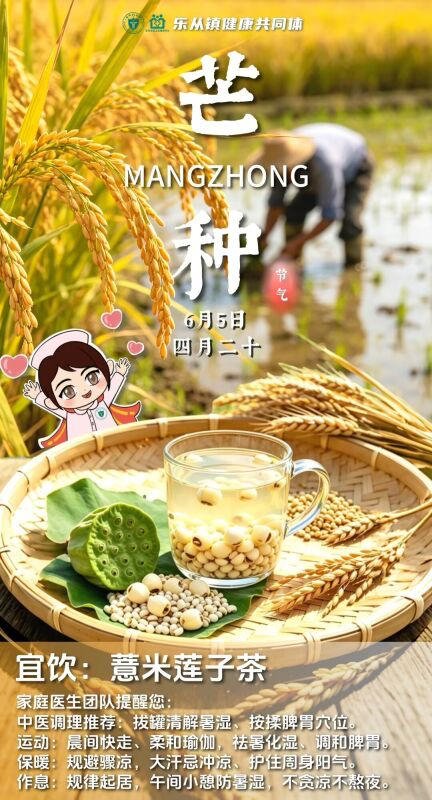 芒种饮品：薏米莲子茶