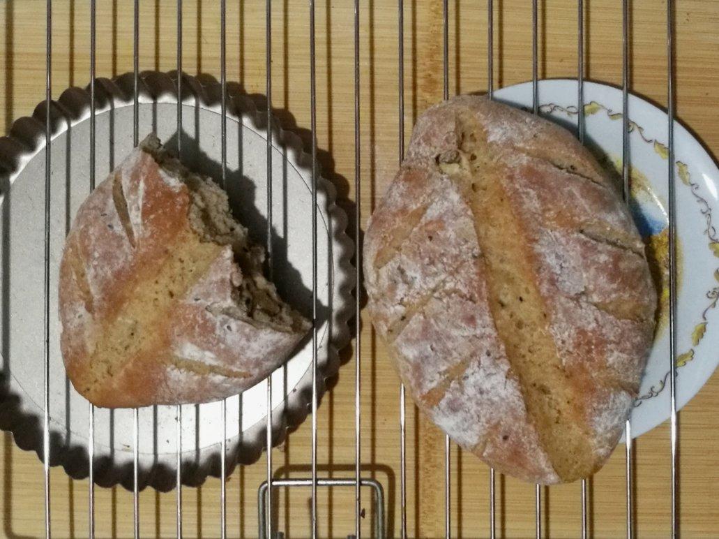 全麦果仁软欧包