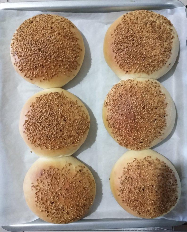 汉堡胚（一次性发酵超软超省时）