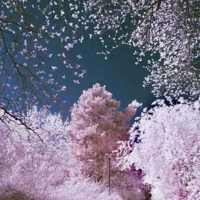 手机用户9280_3oj8