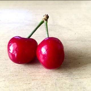 努力学做菜的girl