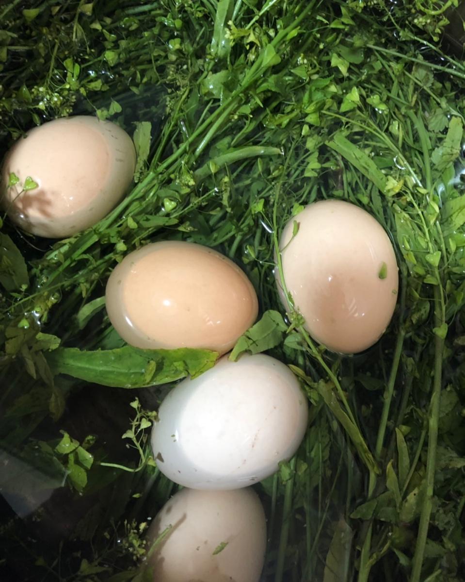 皮皮承做的荠菜花煮鸡蛋