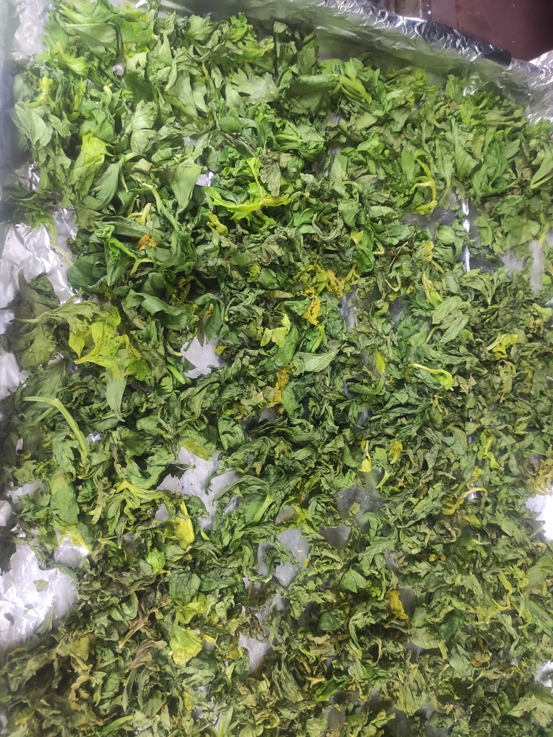 超香！用芹菜叶子 自制欧芹碎（香料调料）