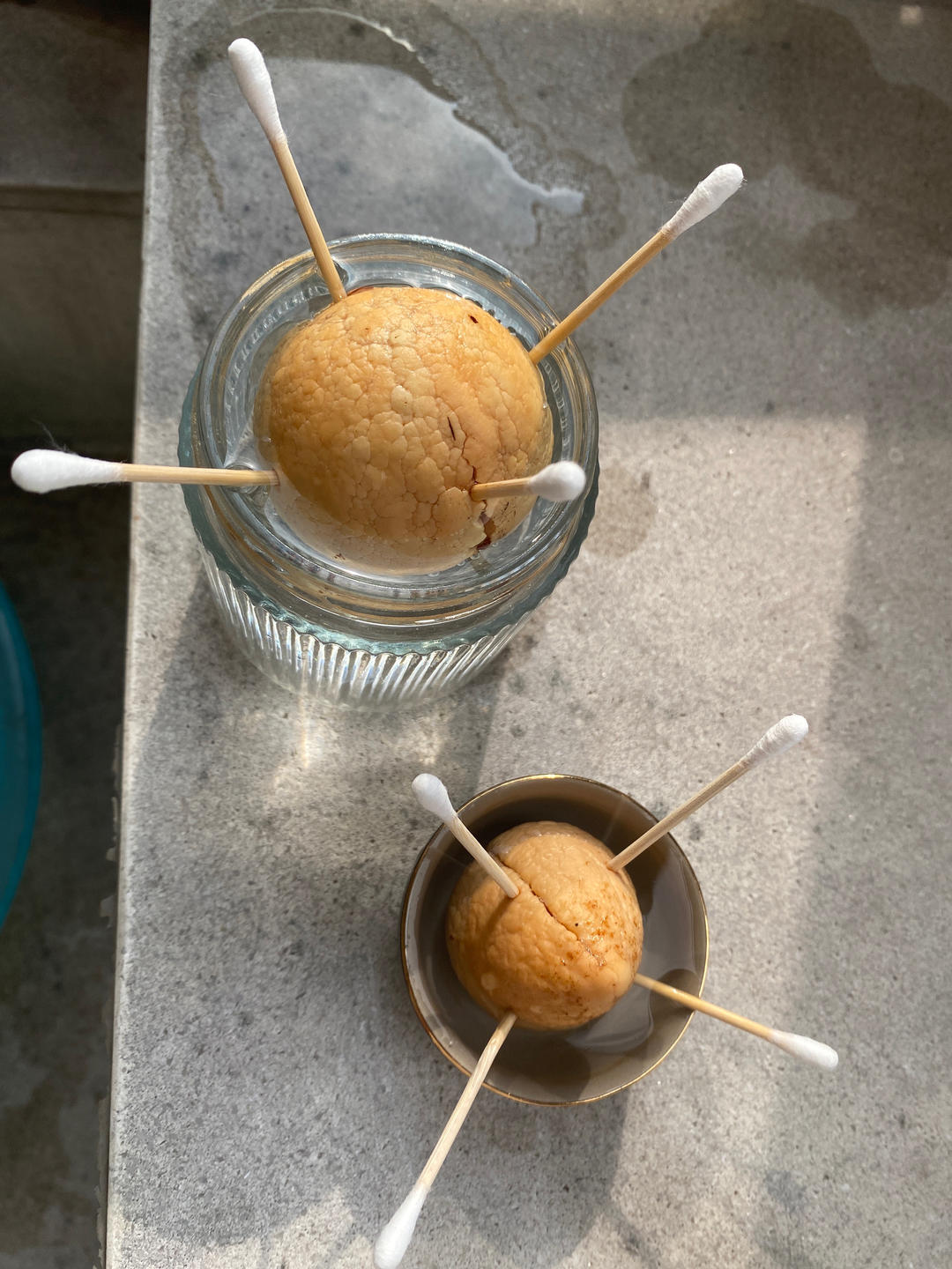 牛油果奶昔🥑入坑就无法自拔的神仙牛奶