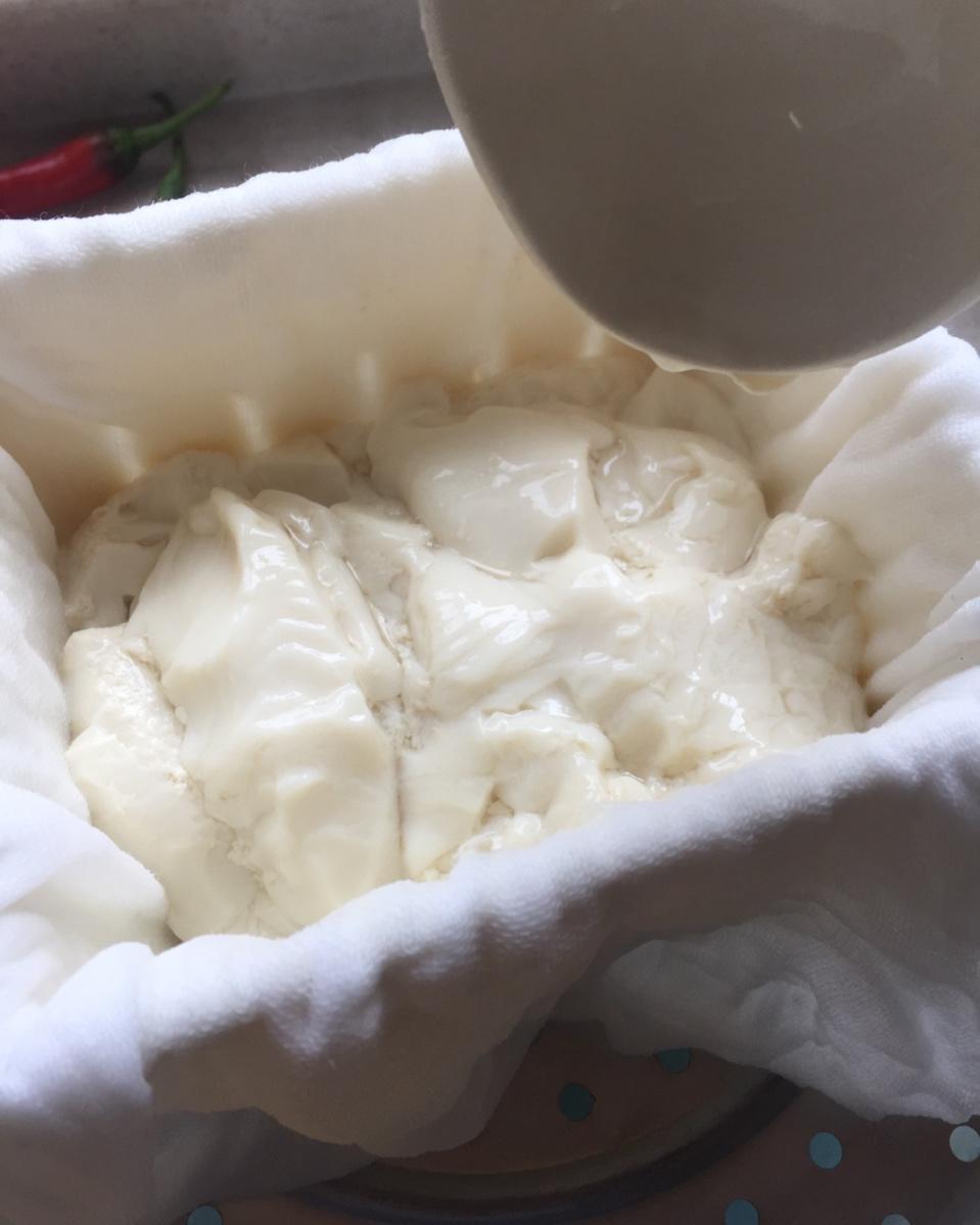 【时令养生】黑豆豆腐