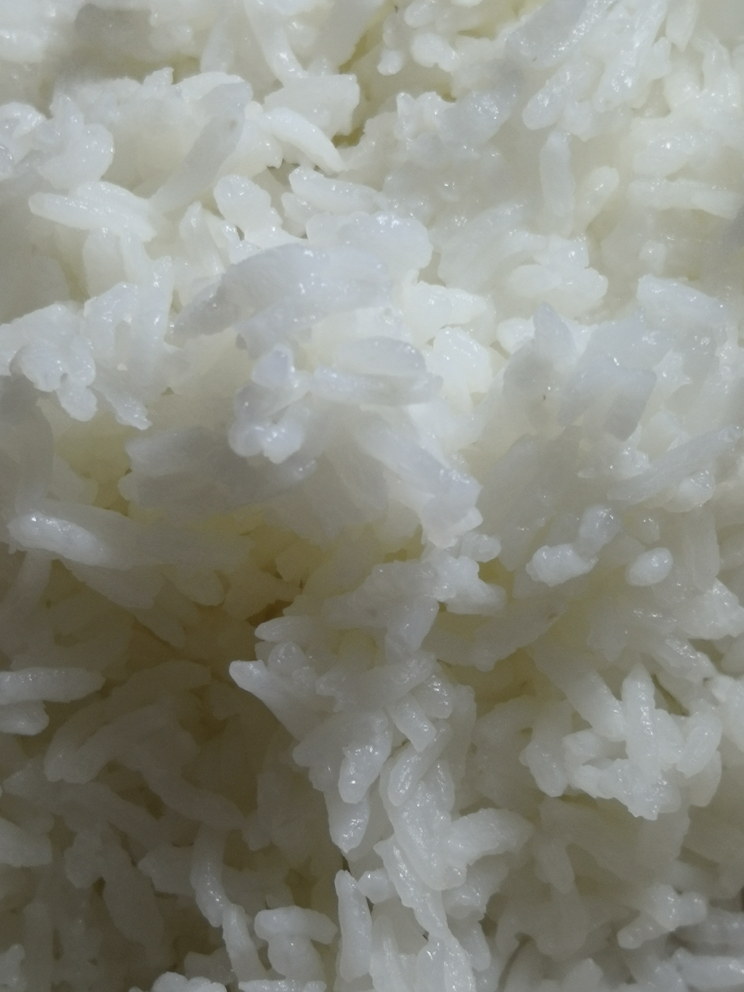 微波炉做米饭的做法