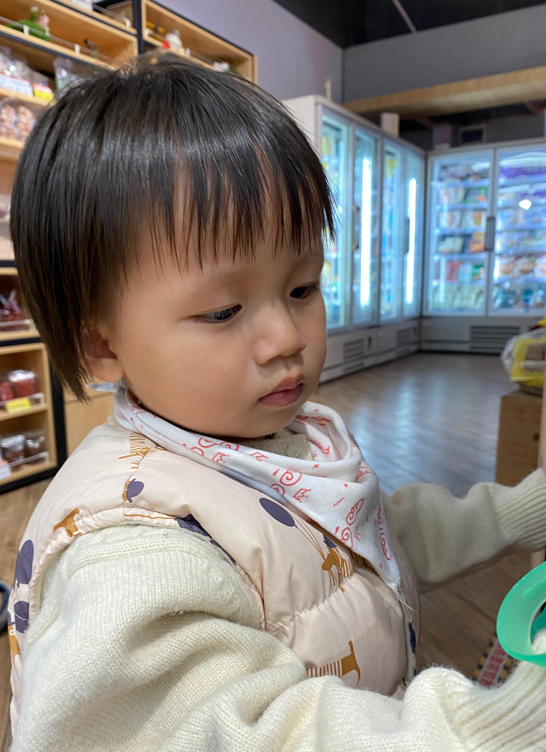 一只小小榆