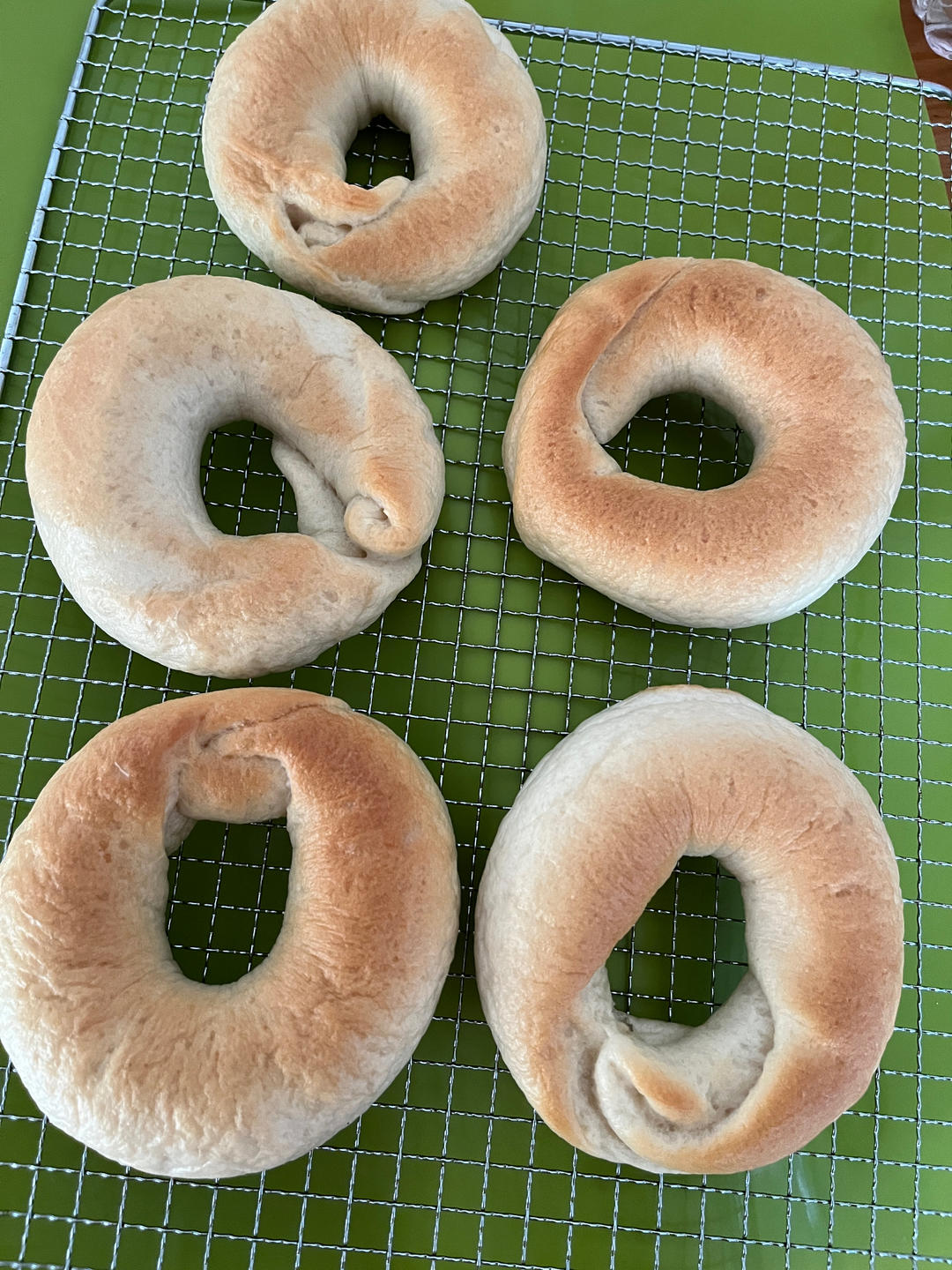 原味贝果