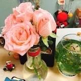 KK灰狼君KK的小厨房