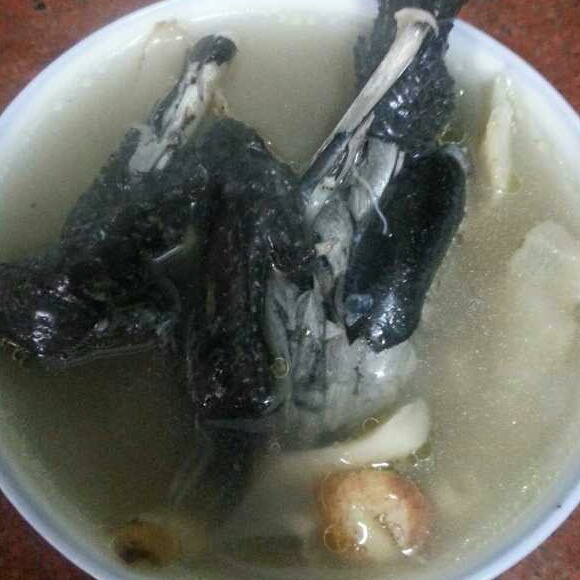 枸杞红枣乌鸡汤