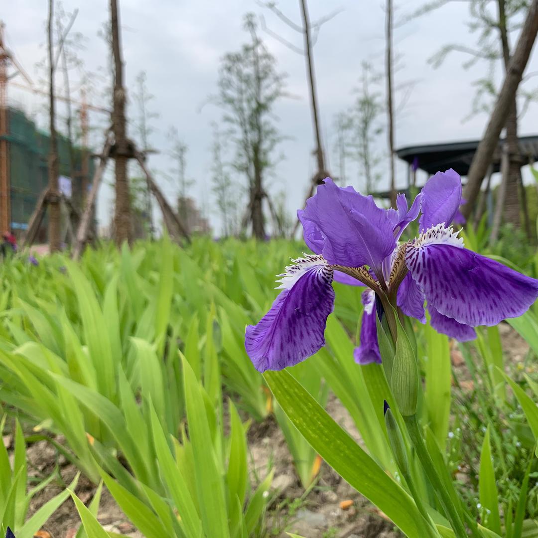 瑞瑞宝麻麻