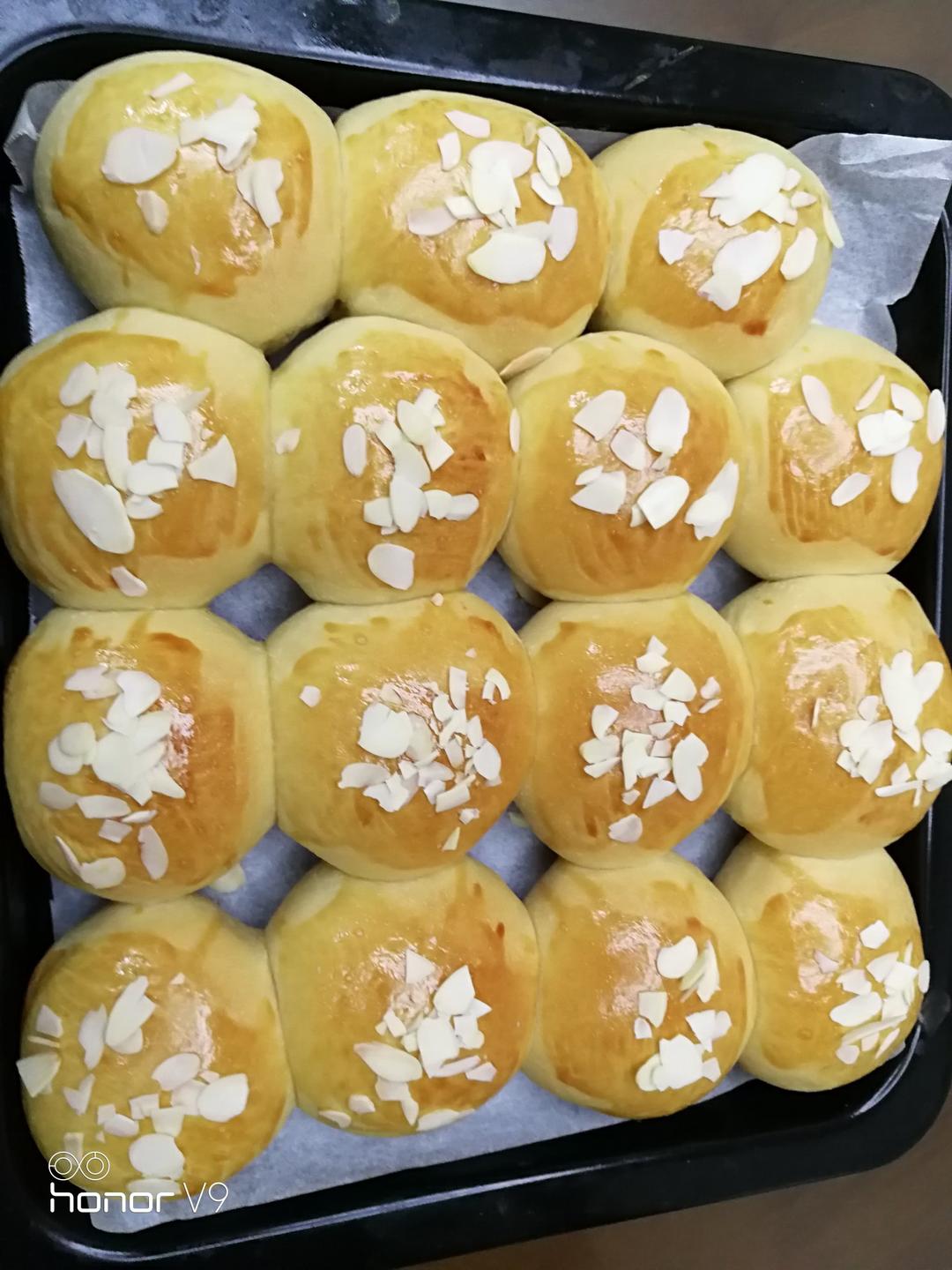 鲜奶油小餐包（一次发酵）