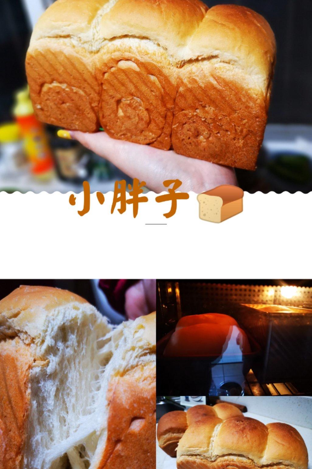 全麦吐司（70%冷藏中种法）