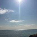 ling_9204