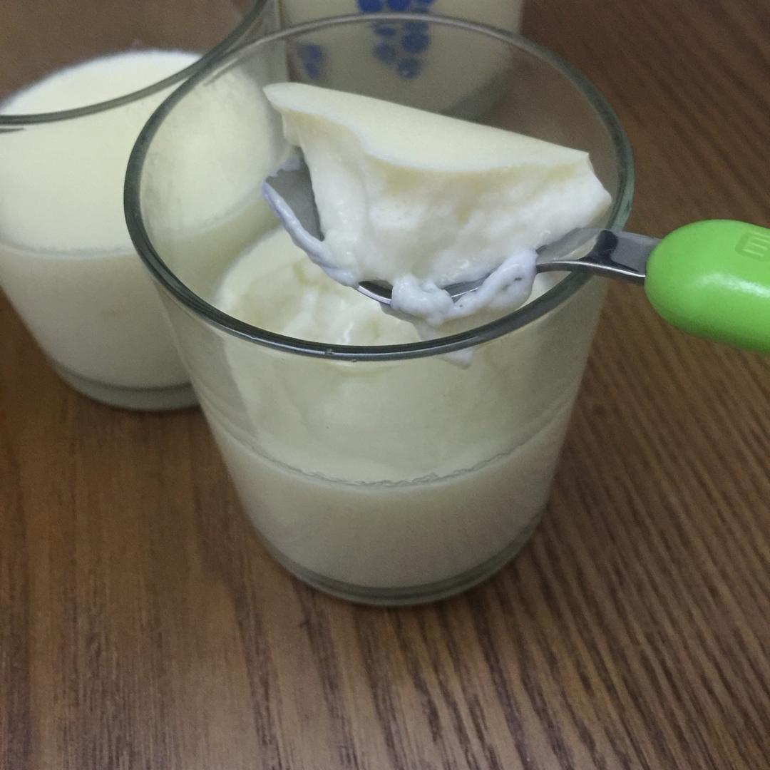 简单易学牛奶鸡蛋布丁