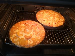 杏派 apricot tart的做法 步骤6
