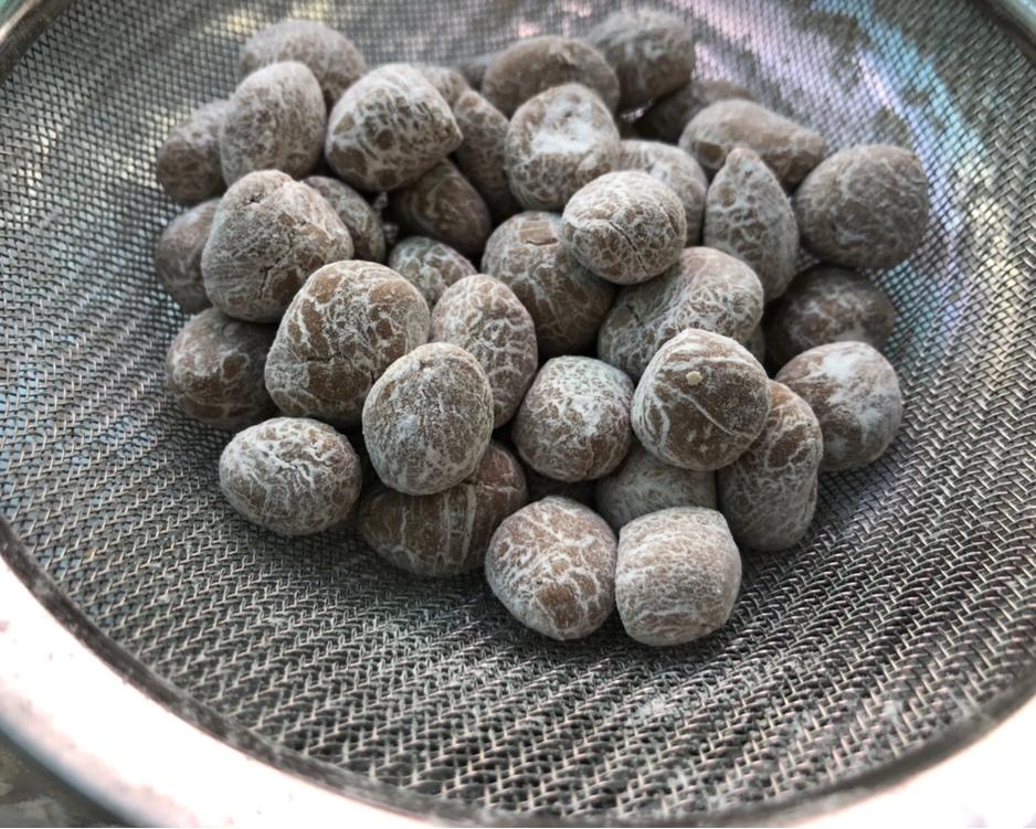 珍珠奶茶（干货，无需称量，简单快捷，宝藏食谱）的做法