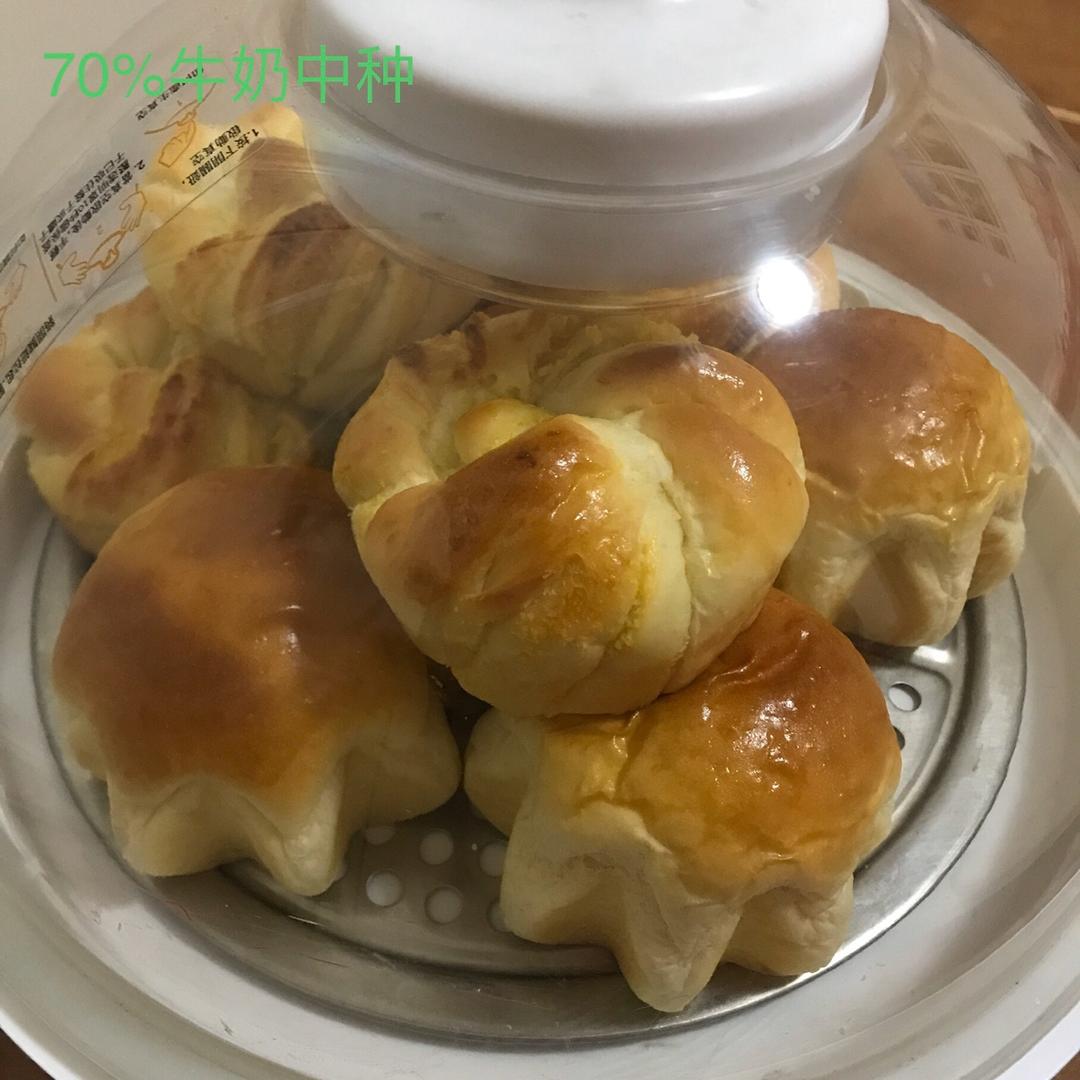 70%中种牛奶吐司