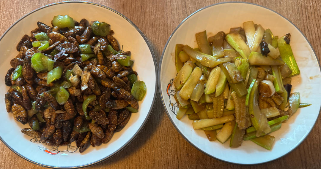 家常金丝蛹/家常蚕蛹