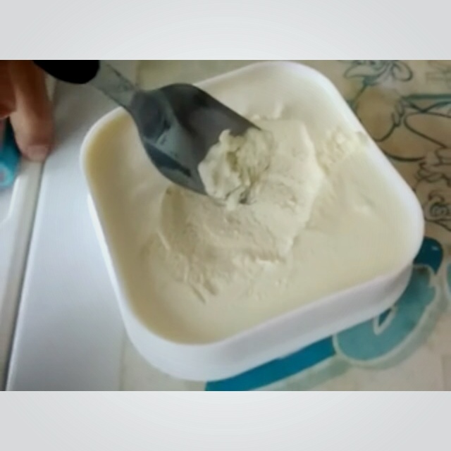 朗姆黑加仑冰淇淋 Rum Raisin Ice cream