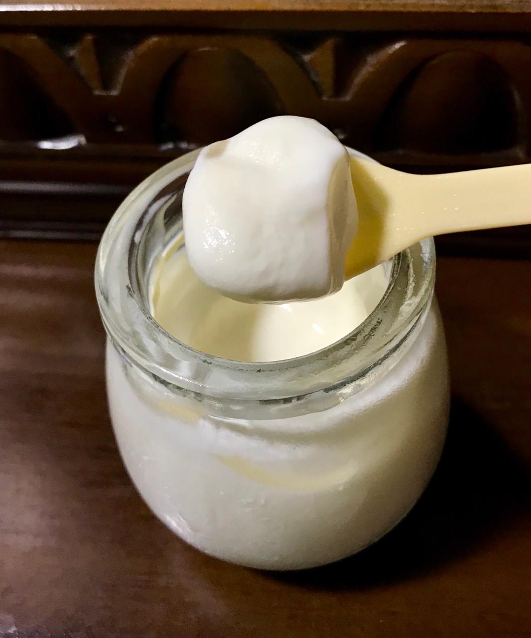 自制酸奶简述