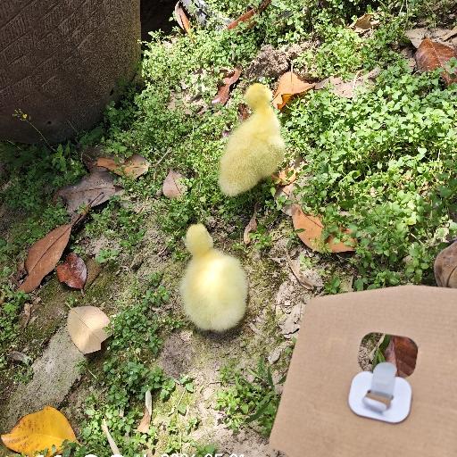 我做的饭可好吃了