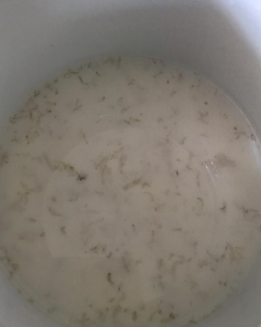 鲜奶炖燕窝