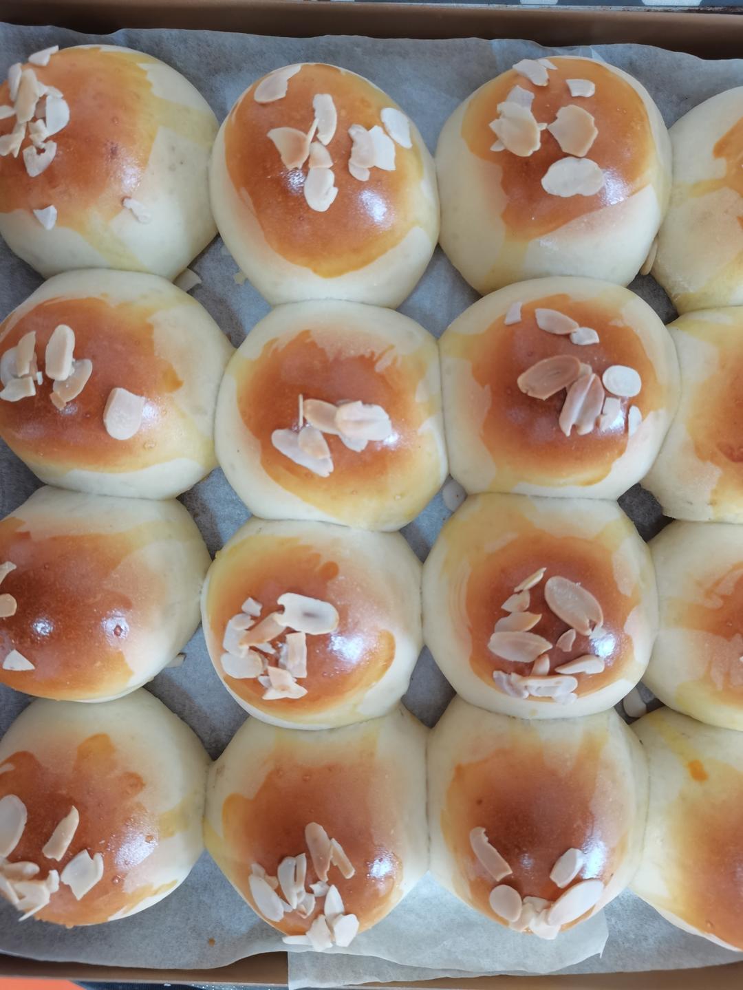 豆沙小餐包（一次发酵）