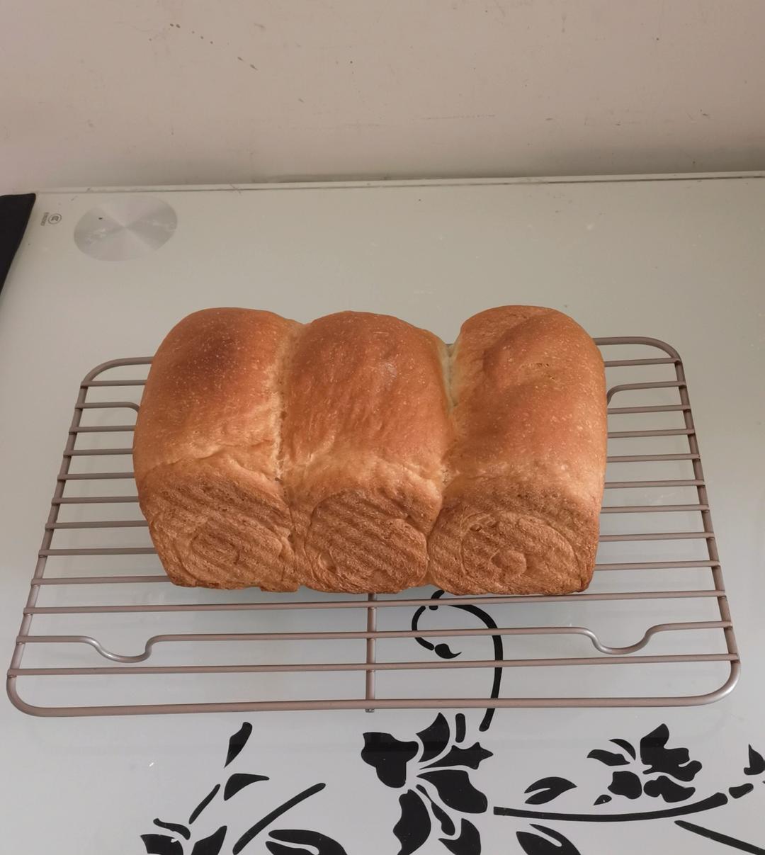 《Tinrry+》软绵绵的白吐司