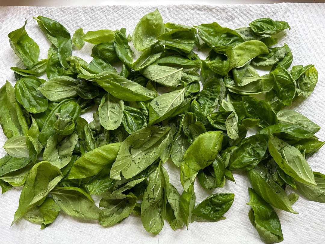 自制新鲜Pesto 传统罗勒松仁青酱意面酱