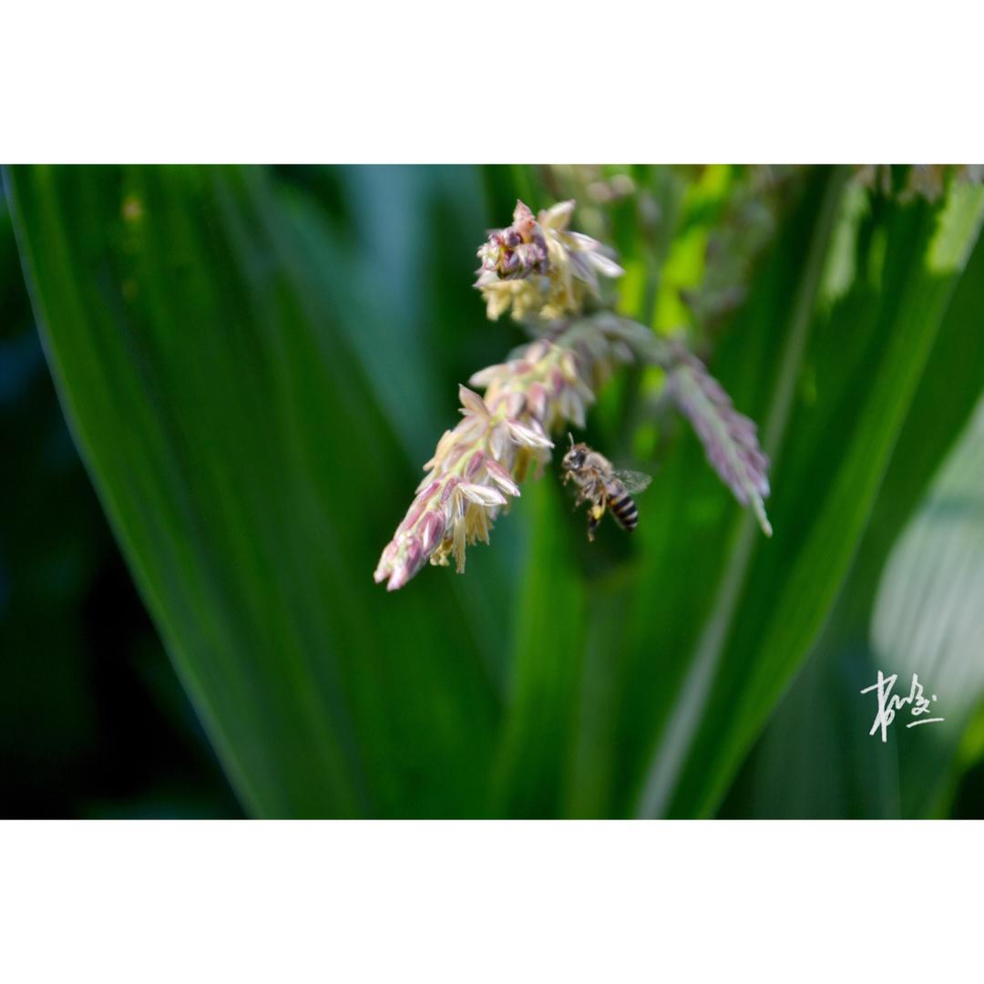 practice photography