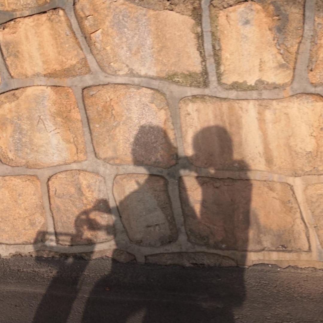 你看我像菠萝吗