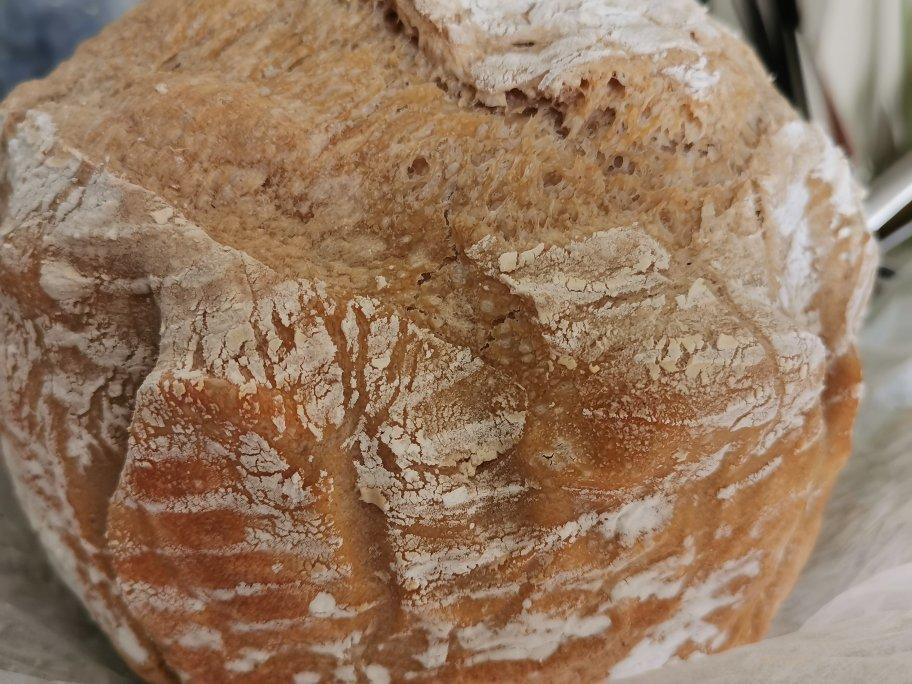 天然酵种基础欧包