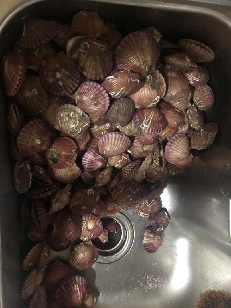 清蒸黄花鱼+蒸米饭+灵芝玉米鸡肉炖盅【12月北鼎蒸炖锅食谱】