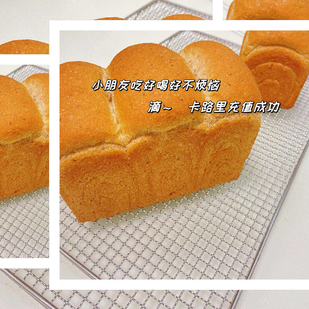 100%真全麦吐司