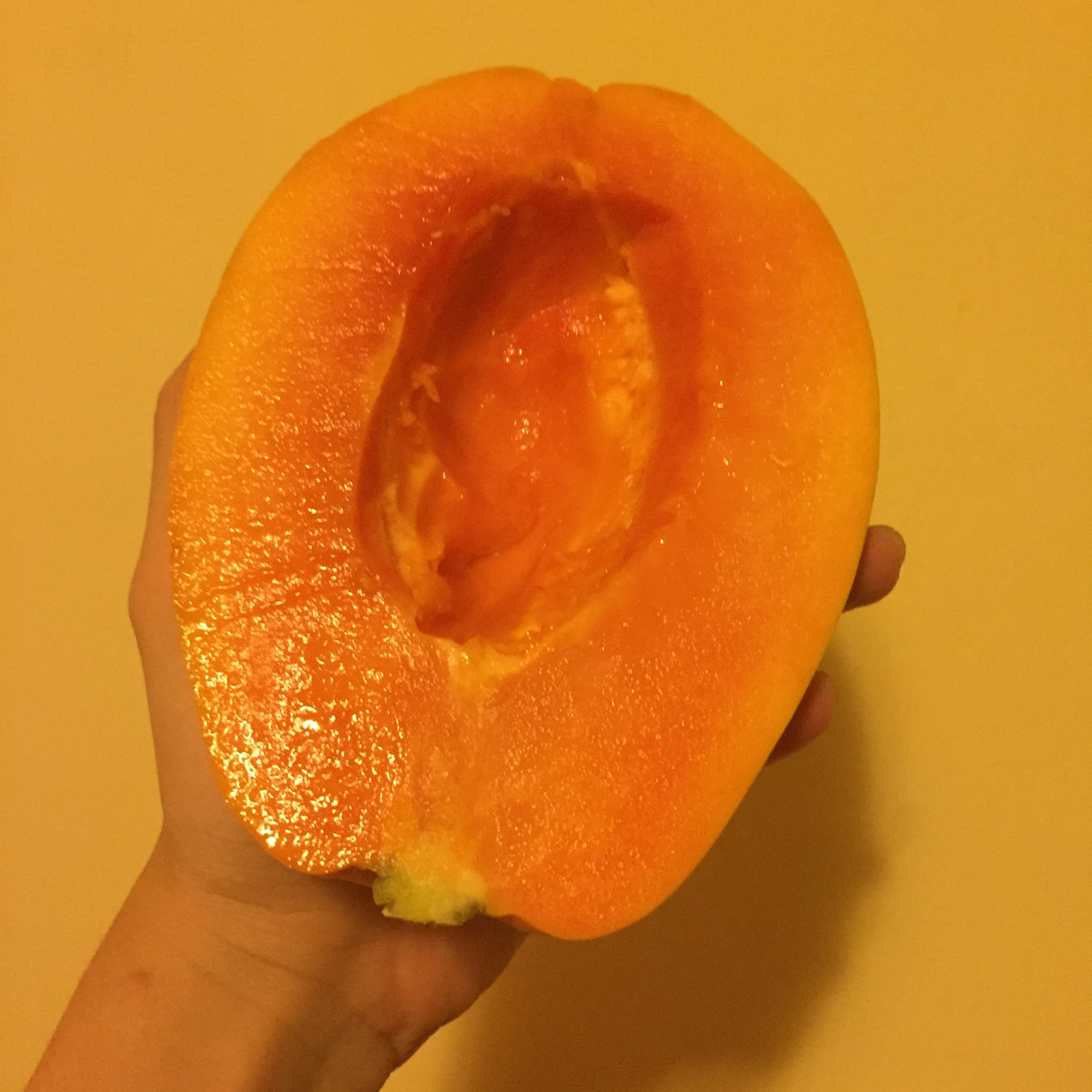 宿舍小电锅版木瓜炖奶