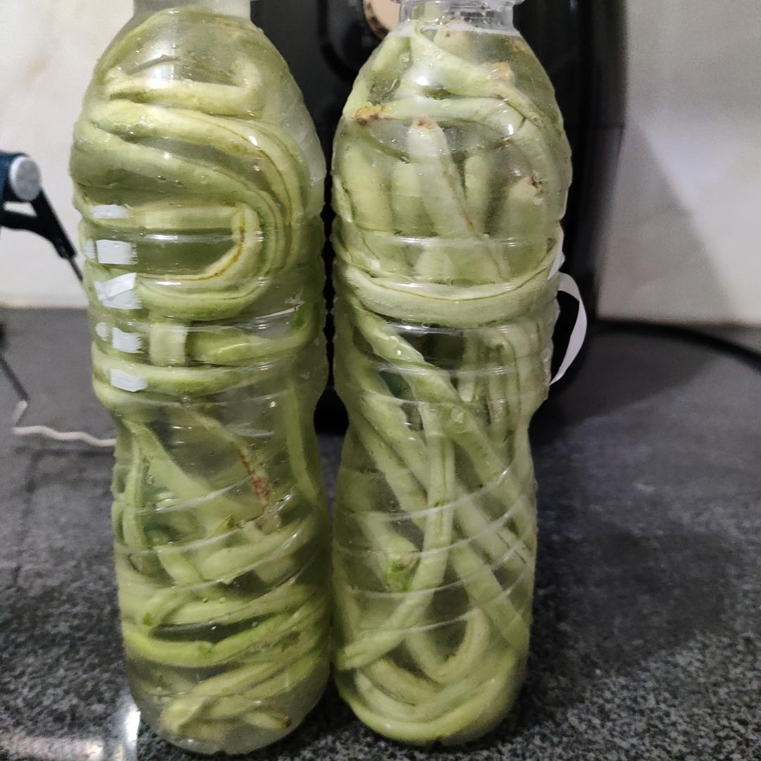 最简单的酸豆角